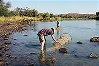 FISHERIES AND MARINE